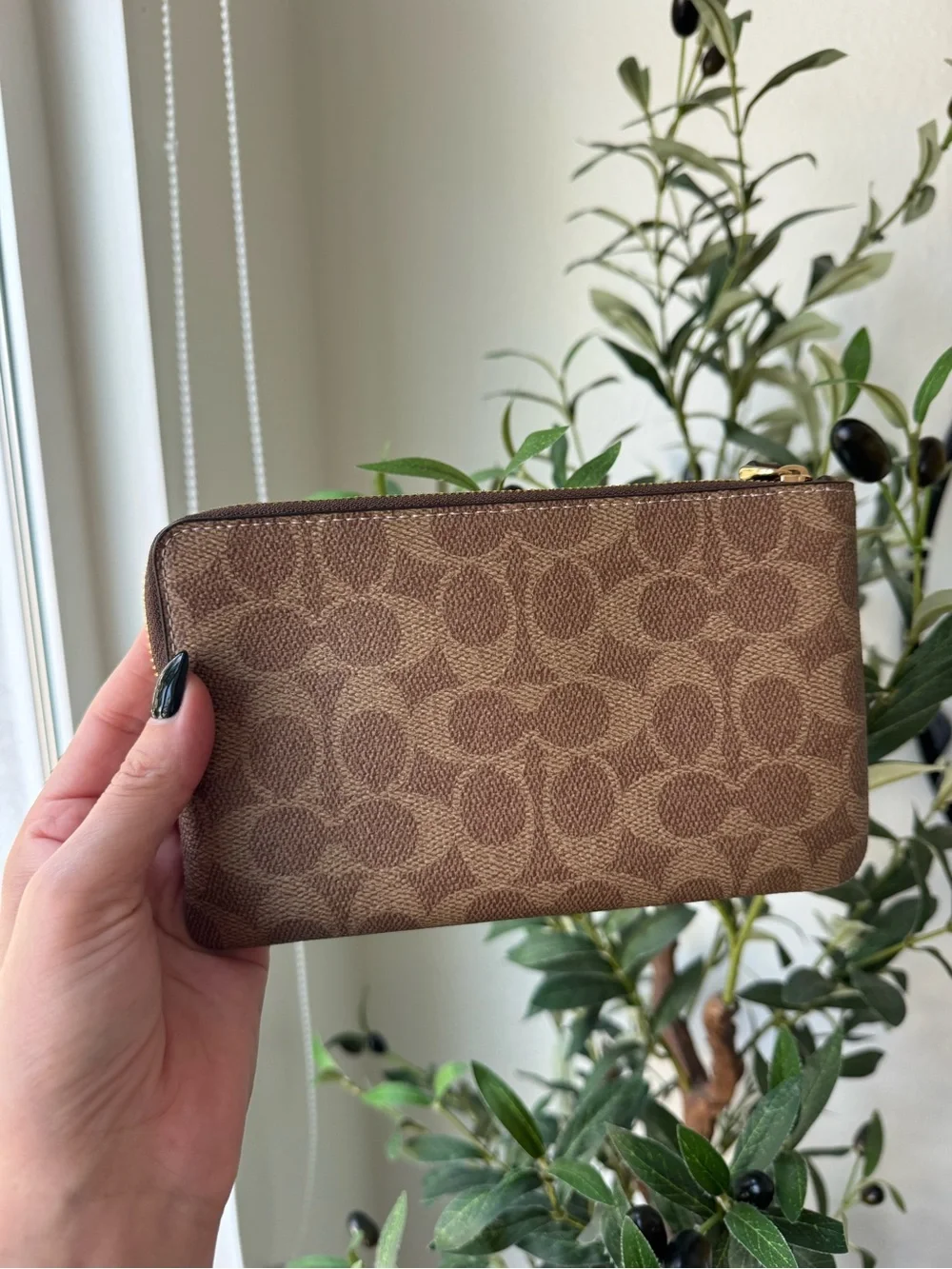 Coach Tan/Brown Large Corner Zip Wristlet In Signature Canvas